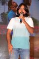 Lover Movie Audio Launch Stills