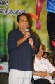 Brahmanandam at Lucky Movie Audio Release Function Stills