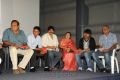 Lucky Movie Audio Release Function Photos