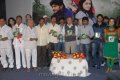 Maa Abbai Engineering Student Audio Release Pics