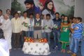 Maa Abbai Engineering Student Audio Release Pics