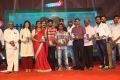 Maa Abbayi Audio Release Function Photos