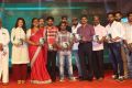 Maa Abbayi Audio Release Function Stills