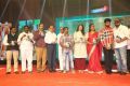 Maa Abbayi Audio Release Function Stills