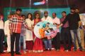 Maa Abbayi Audio Release Function Photos