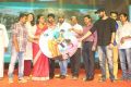 Maa Abbayi Audio Release Function Stills