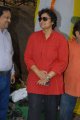 Nandini Reddy at Maa Colony Bus Stop Opening Stills
