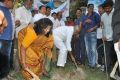 Maa Inkudu Gunta Program at Ramanaidu Studio