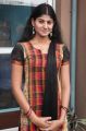 Actress Parvathy Suresh at Madapuram Movie Audio Launch Stills