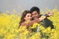 Sivakarthikeyan, Hansika Motwani in Maan Karate Movie Stills