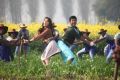 Sivakarthikeyan, Hansika Motwani in Maan Karate Movie Stills