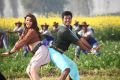 Sivakarthikeyan, Hansika Motwani in Maan Karate Movie Stills