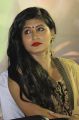 Actress Sunitha Gogai @ Maan Vettai Movie Audio Launch Stills
