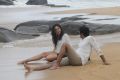 Aari, Subhasree Ganguly in Maane Thene Peye Tamil Movie Stills