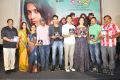 Maanja Movie Audio Launch Stills