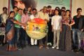 Maanja Movie Audio Launch Stills