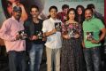 Maanja Movie Audio Launch Stills