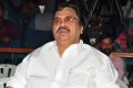 Dasari Narayana Rao @ Maanja Movie Platinum Disc Function Stills