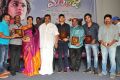 Maanja Movie Platinum Disc Function Stills