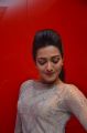 Catherine Tresa @ Maaveeran Kittu Audio Launch Stills