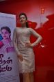 Catherine Tresa @ Maaveeran Kittu Audio Launch Stills