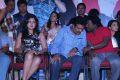 Machan Movie Audio Launch Stills