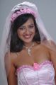 Madalasa Sharma Latest Hot Pics in Designer Bridal Gown