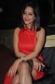 Actress Madalasa Sharma Hot Pics in Red Skirt