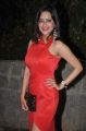 Telugu Actress Madalasa Sharma Hot Pics in Red Skirt