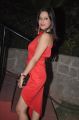 Telugu Actress Madalasa Sharma Hot Pics in Red Skirt