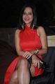 Actress Madalasa Sharma Hot Pics in Red Skirt