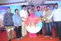 Madha Gaja Raja Audio Launch Photos