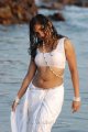 Telugu Actress Madhavi Latha Hot in Tholipata