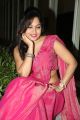 Telugu Actress Madhavi Latha Pink Saree Hot Stills