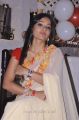 Actress Madhavi Latha Hot Stills in Cream Georgette Saree