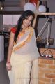 Actress Madhavi Latha in Cream Georgette Saree Hot Photos