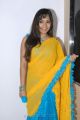 Madhavi Latha in Saree Cute Photos