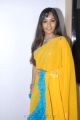 Telugu Actress Madhavi Latha Cute Saree Photos