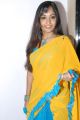 Madhavi Latha in Yellow Saree Stills