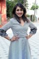 Telugu Actress Madhu Shalini New Stills