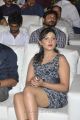 Madhu Shalini Spicy Hot Images at DK Bose Audio Release