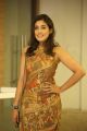 Actress Madhu Shalini Cute Photos @ Goodachari Success Meet