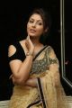 Actress Madhu Shalini in Transparent Saree Photos