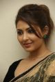 Actress Madhu Shalini Hot Photos in Transparent Saree with Black Blouse