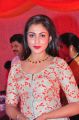 Actress Madhu Shalini New Photos