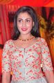 Telugu Actress Madhu Shalini New Photos