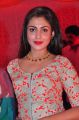 Telugu Actress Madhu Shalini New Photos