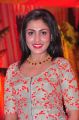 Actress Madhu Shalini New Photos