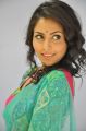 Seethavalokanam Heroine Madhu Shalini Photos