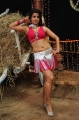 Madhu Sharma Hot Item Song Photos Stills